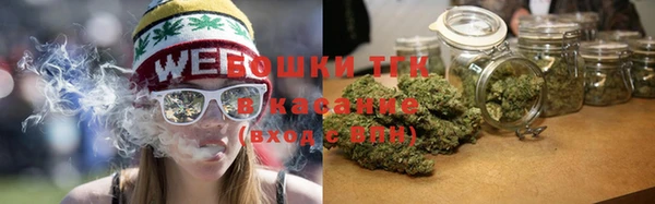 твердый Арсеньев