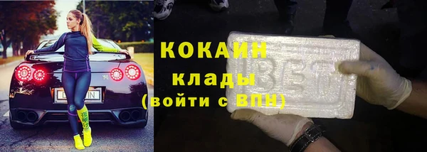 твердый Арсеньев
