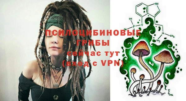 твердый Арсеньев