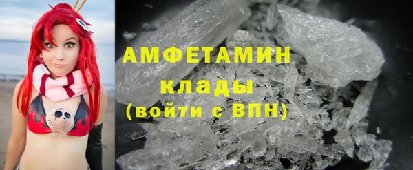 твердый Арсеньев