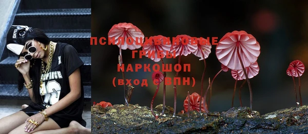 твердый Арсеньев