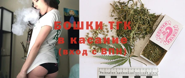 твердый Арсеньев