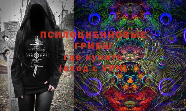 твердый Арсеньев